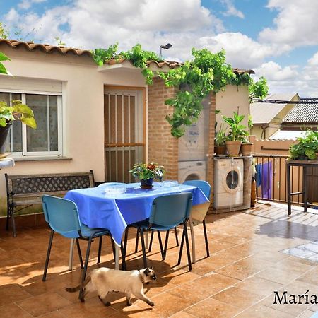 Comfortable Apartment In Caceres 55 M² Welcoming Terrace Экстерьер фото