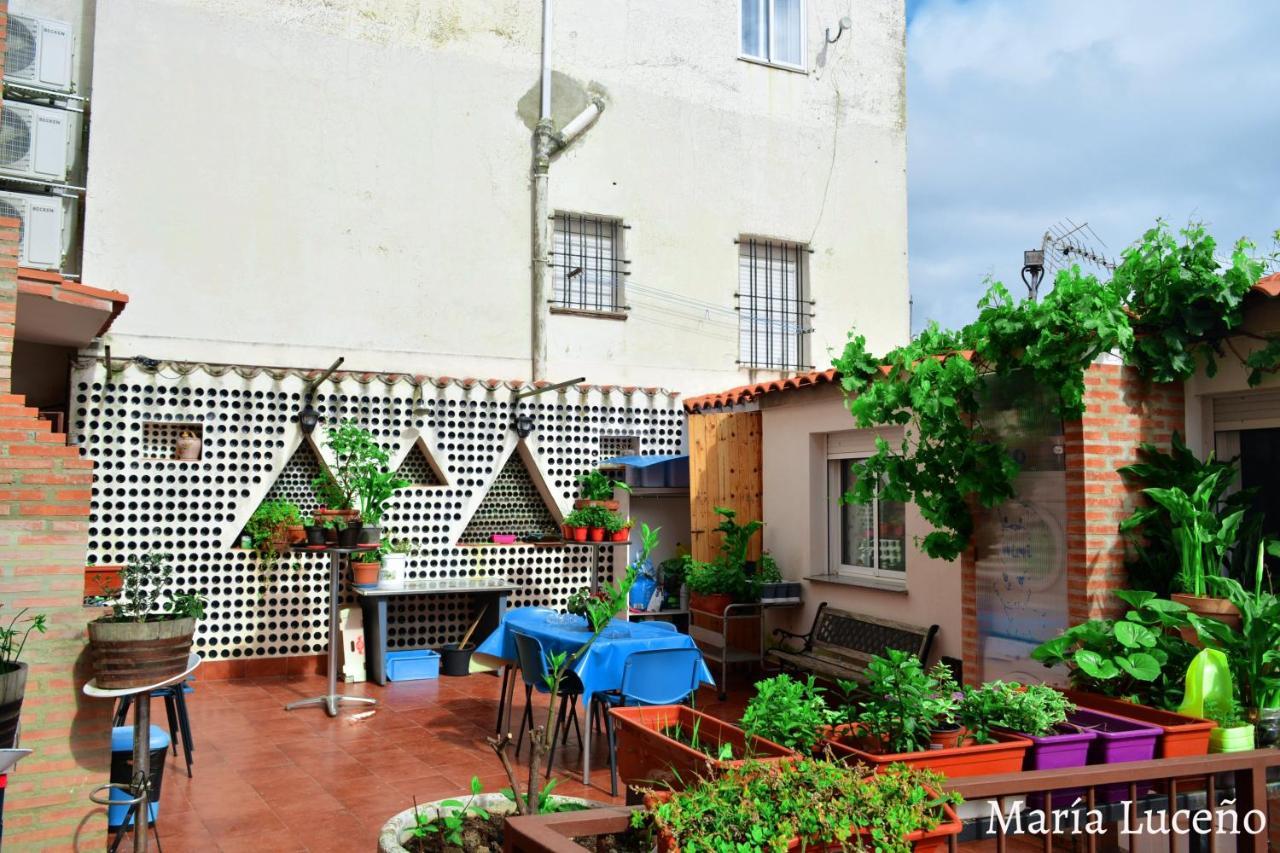 Comfortable Apartment In Caceres 55 M² Welcoming Terrace Экстерьер фото