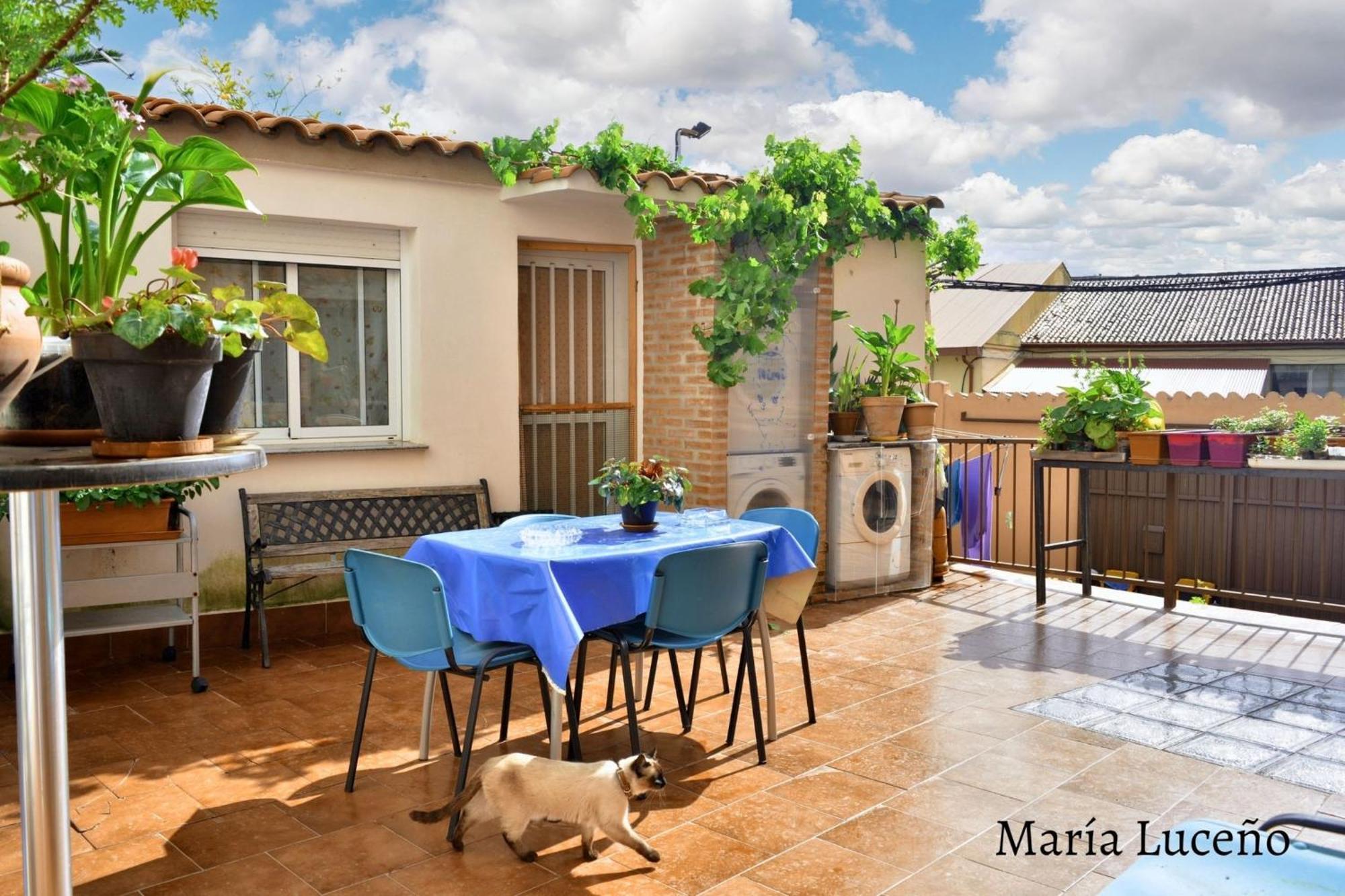 Comfortable Apartment In Caceres 55 M² Welcoming Terrace Экстерьер фото